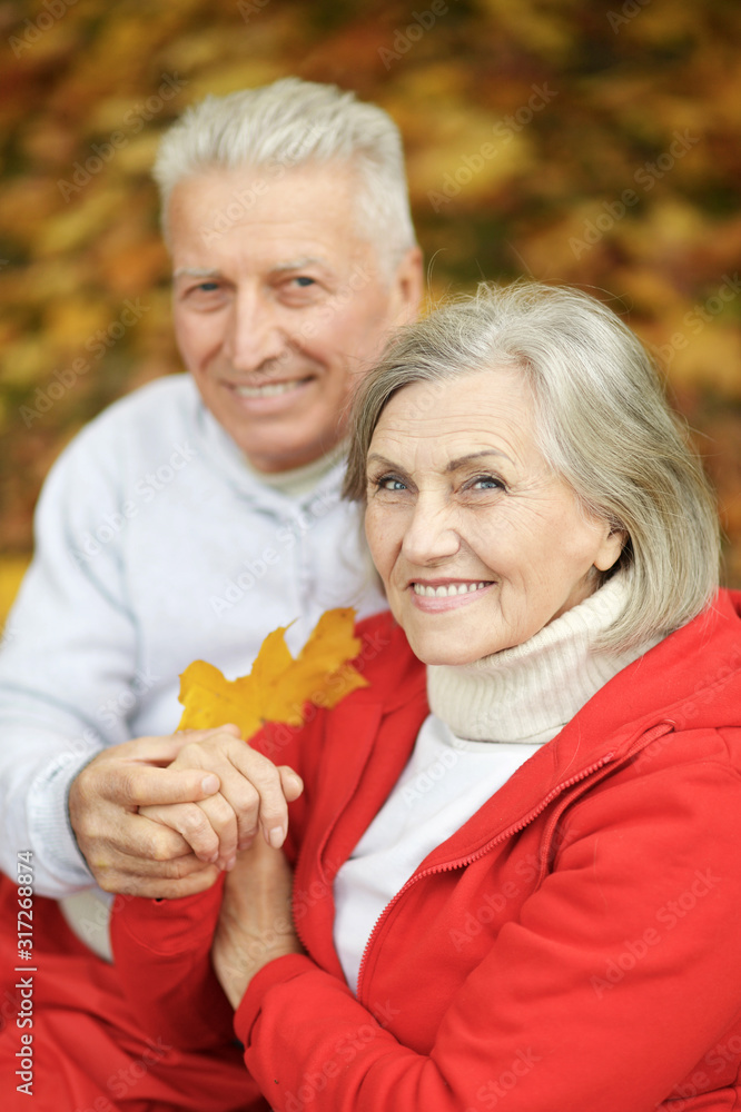 Portrait of smiling senior couple in autumn park Portrait of smiling senior couple in autumn park