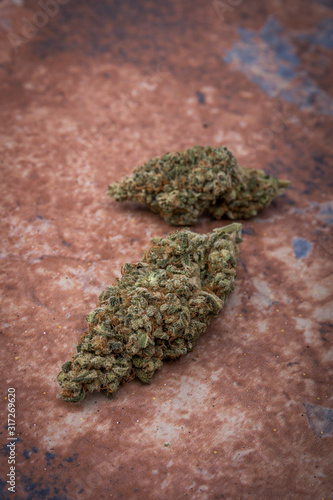 Marijuana flower on a colored background