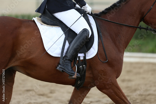 Dressage horse under saddle on equestrian event summertime