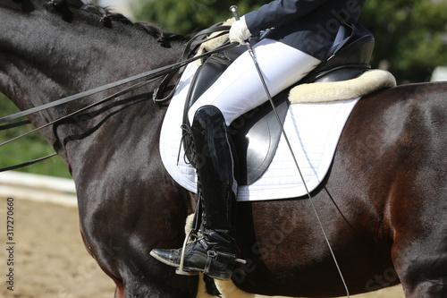 Closeup of a horseback under old leather jumper saddle on competition. Equestrian sport background