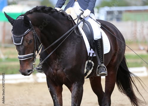 Closeup of a horseback under old leather jumper saddle on competition. Equestrian sport background