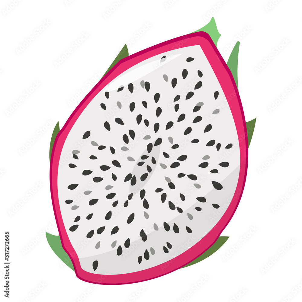 Dragon fruit. Half of the cut fruit. Isolated vector illustration on white background. Dragon fruit. Half of the cut fruit. Isolated vector illustration on white background.