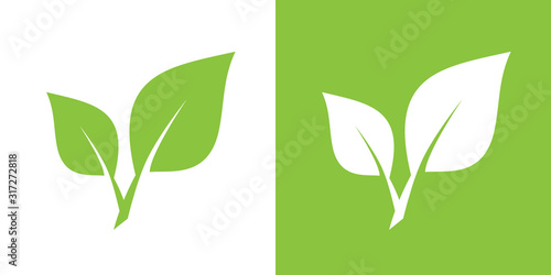 Spring leaves isolated on green and white background. Vector illustration.