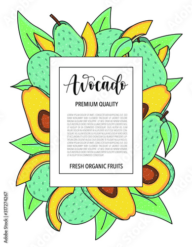 Vector background with avocado, whole and pieces. Vector stock illustration isolated on white background. Card design with fruits. Product information and lettering.