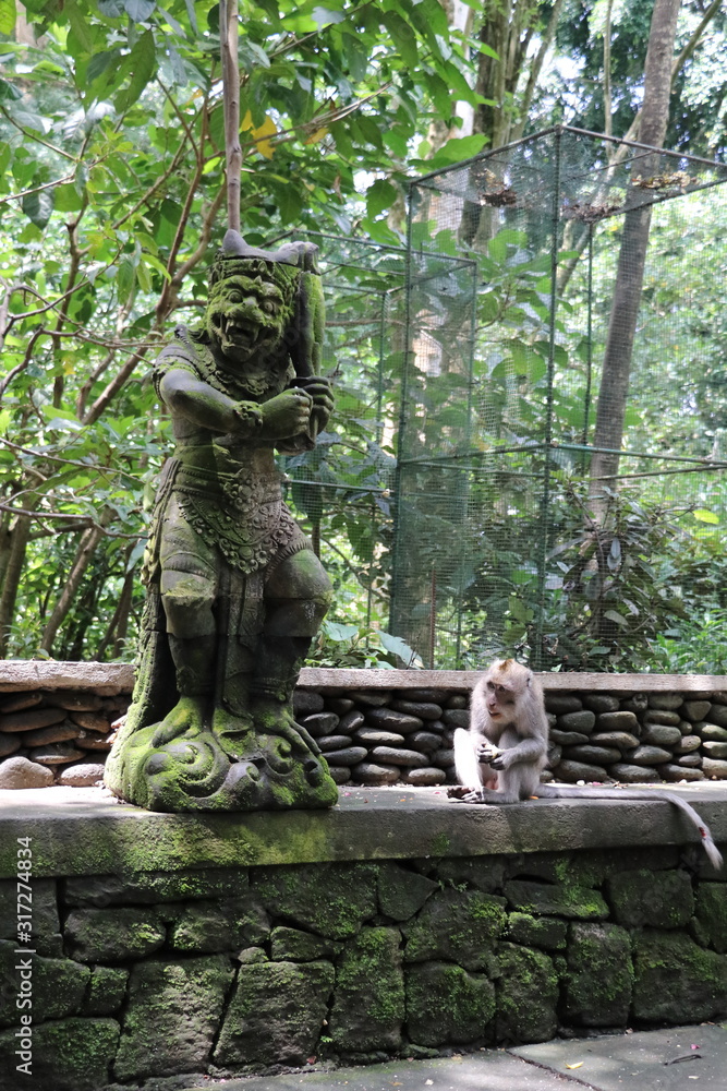 monkey in balinese temple