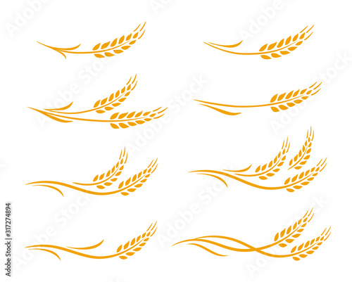 wheat ears and oats spikes icons set photo