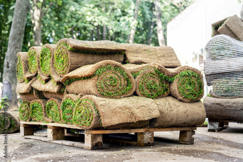 Stacks of green fresh rolled lawn grass on wooden pallet at dirt prepared for installation at city park or backyard on bright sunny day. Green tree forest on background. Gardening landcaping service photo