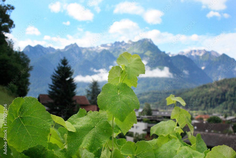Austria. Landscape with Austrian Alps. Summer in mountains.