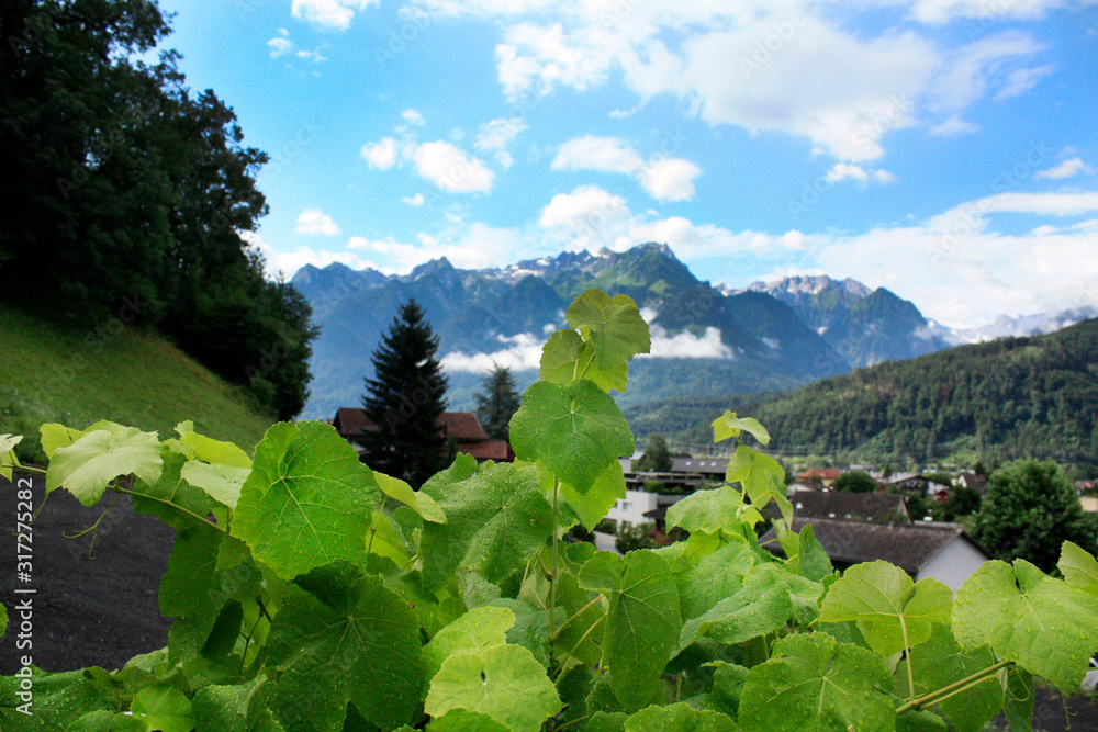 Austria. Landscape with Austrian Alps. Summer in mountains.