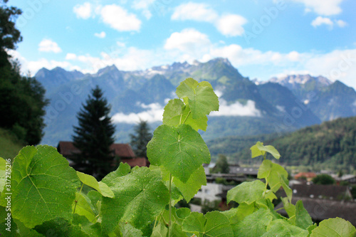 Obraz na płótnie Austria. Landscape with Austrian Alps. Summer in mountains. w salonie