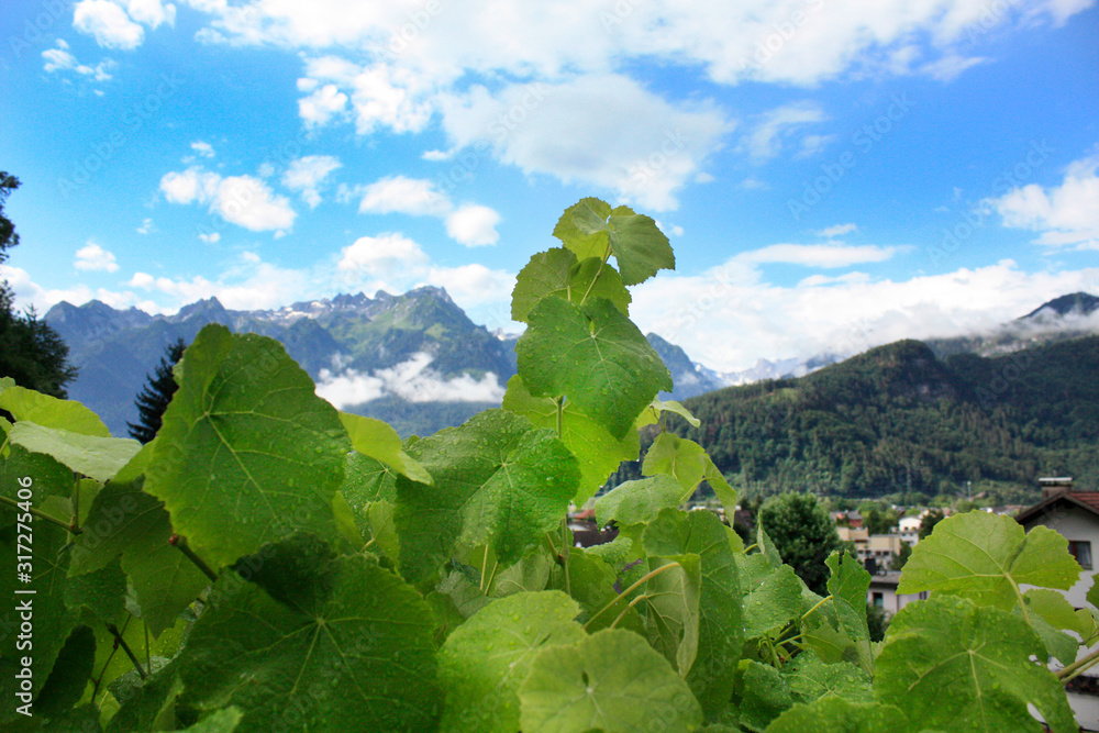 Austria. Landscape with Austrian Alps. Summer in mountains.