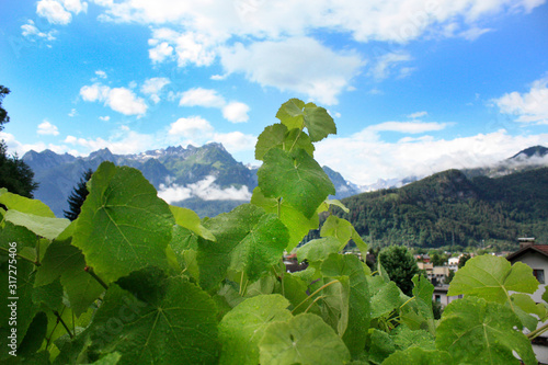 Obraz na płótnie Austria. Landscape with Austrian Alps. Summer in mountains. w salonie