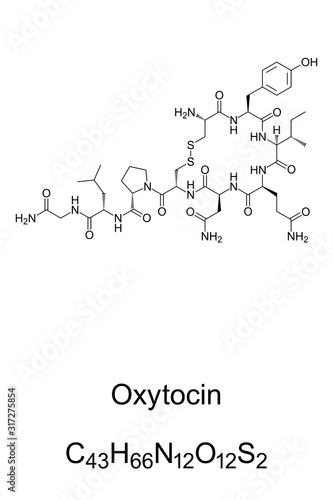 Oxytocin molecule, skeletal formula. C43H66N12O12S2, a peptide hormone, neuropeptide and neurotransmitter. It plays a role in social bonding, reproduction and childbirth. Illustration. Vector.