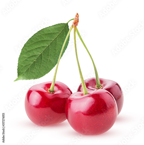 Sweet cherry berry, three on a branch with leaf