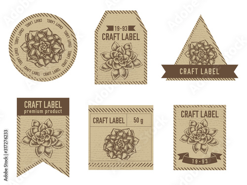 Craft labels vintage design with illustration of succulent echeveria