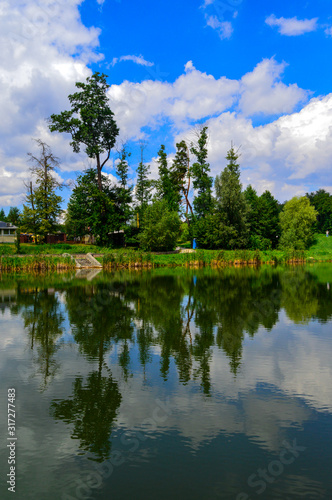 The lake in Feofania park  sunny summer landscape in Kyiv  Ukraine on July 15  2018. 