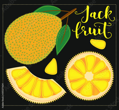 Jackfruit. Whole and pieces. Vector stock illustration. Colored fruit set isolated on black background. Lettering.