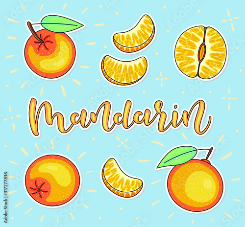 Mandarin. Whole and pieces. Vector stock illustration. Colored fruit set isolated on blue background. Lettering.