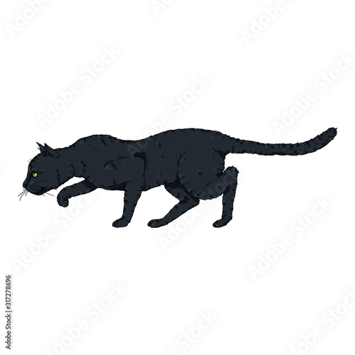 Sneaking Black Cat. VectorCartoon Illustration photo