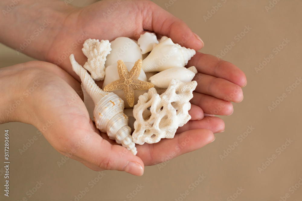 young woman holding white sea shells and corals young woman holding white sea shells and corals
