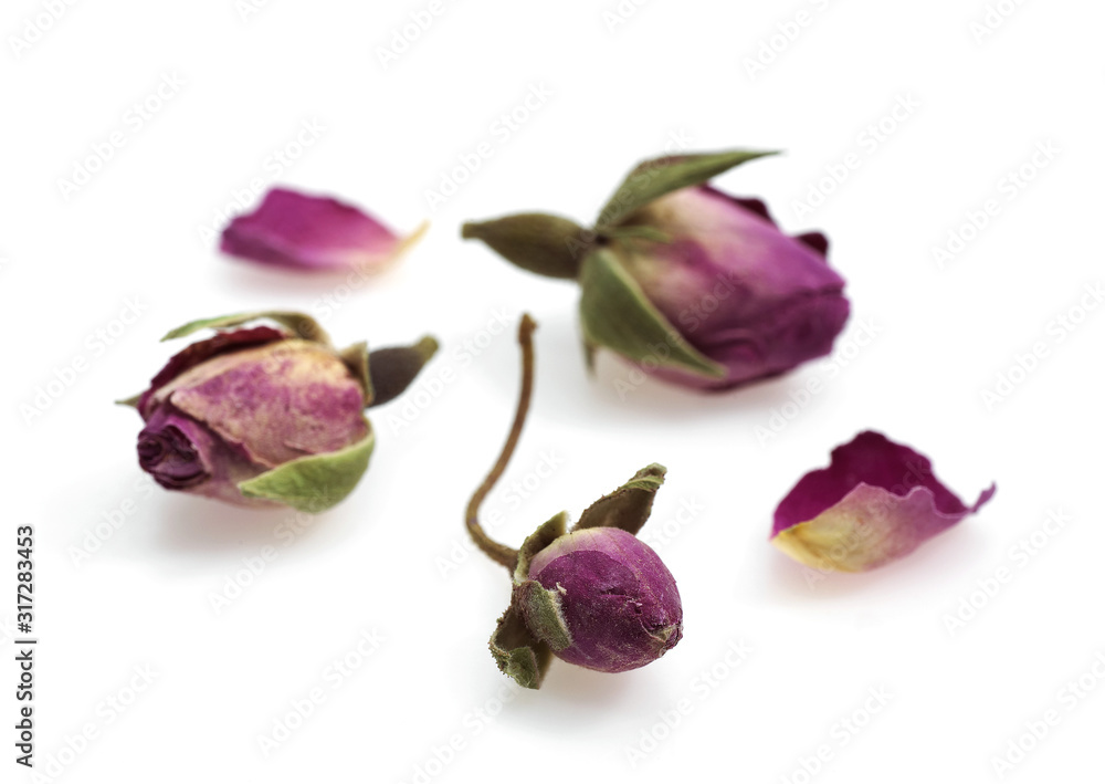 Fototapeta premium BOUTON DE ROSE