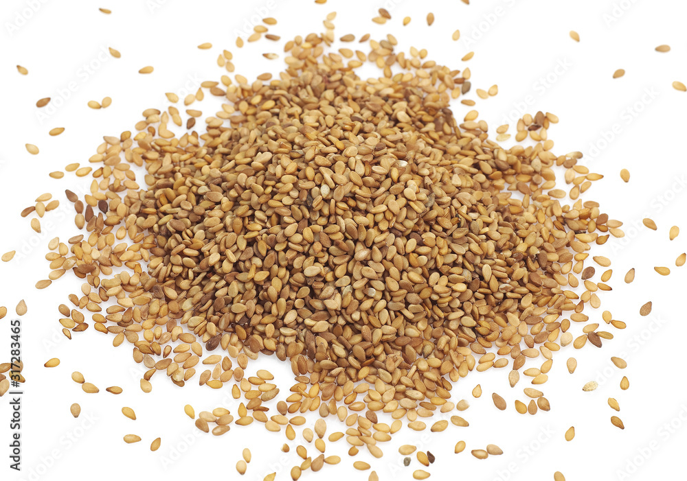 SESAME SESAME