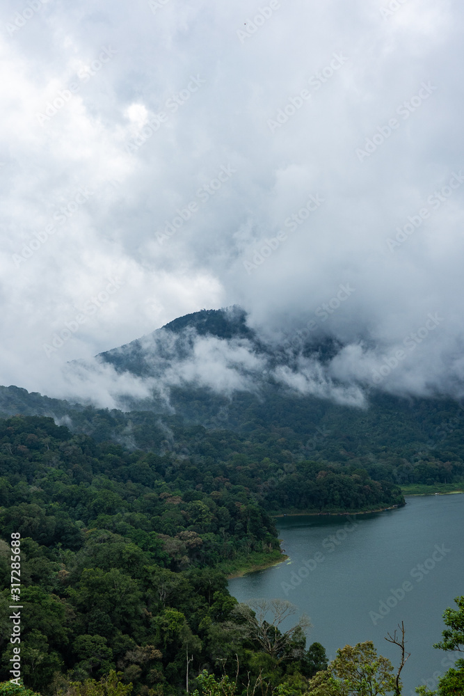 Early morning scenery of forest with fog in the mountain valley