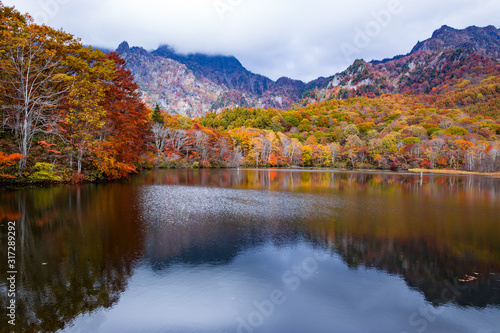 秋に染まる池