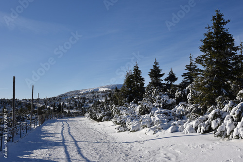 Winter trials and panorama of Karkonosze Mountains, Karkonosze National Park, Poland. © Mariusz