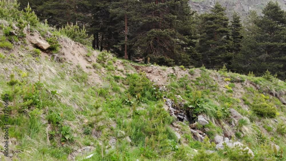 Drone Aerial Shot Approach to small mountain river in the forest Drone Aerial Shot Approach to small mountain river in the forest