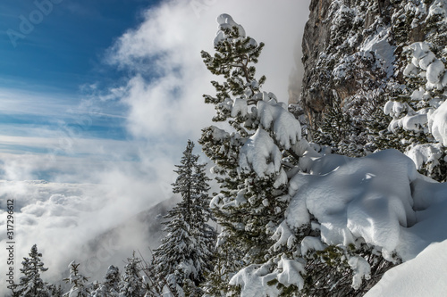 Cirque de l' Aulp du Seuil en Chartreuse en hiver dans les Alpes photo