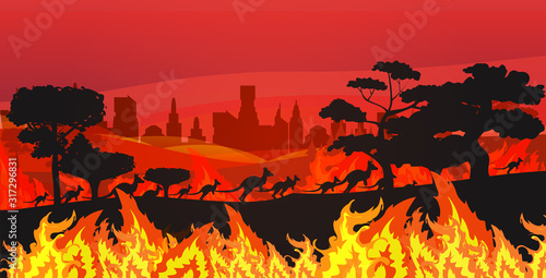 silhouettes of kangaroos running from forest fires in australia animals dying in wildfire bushfire burning trees natural disaster concept intense orange flames horizontal vector illustration