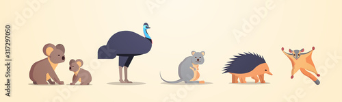 set cartoon endangered wild australian animals collection wildlife species fauna concept flat horizontal vector illustration