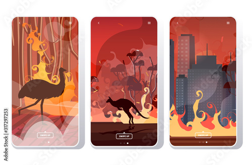 set forest fires in australia wildfire bushfire burning trees natural disaster evacuation concept intense orange flames smartphone screens collection mobile app vector illustration