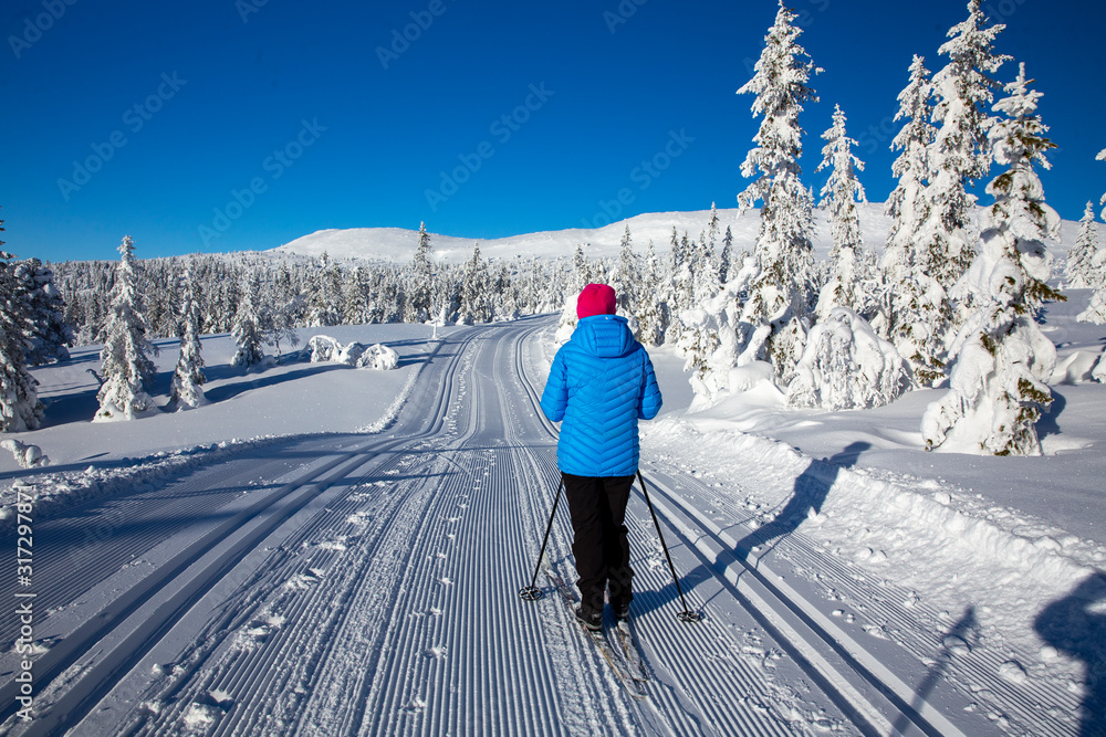 Skiing in the Trysil mountains, Innland county Norway