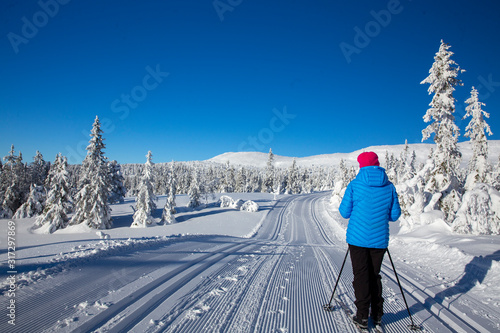 Skiing in the Trysil mountains, Innland county Norway