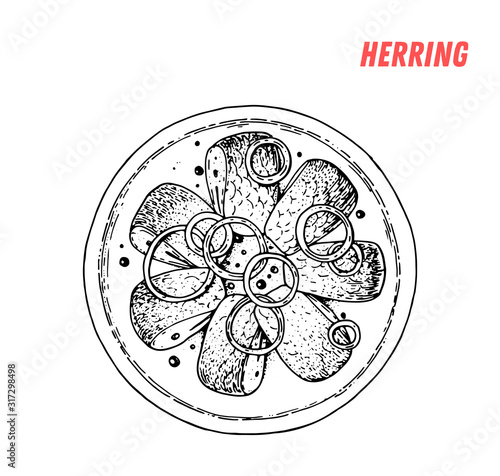 Salted pickled herrings seledka hand drawn illustration. Russian cuisine. Linear graphic. Food sketch.