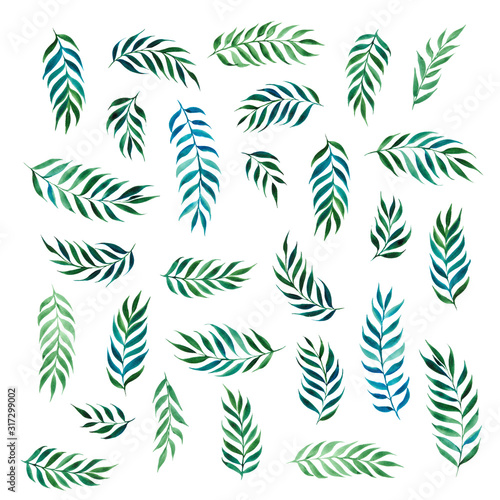Set of abstract various palm leaves