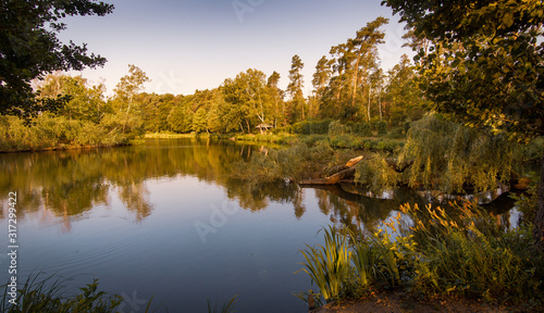colorful romantic lake in autumn forest with reflection