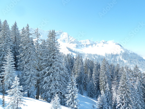 Schnee im Gebirge