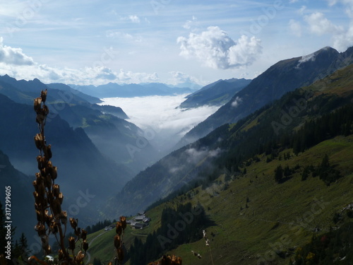 Talnebel  im Großen Walsertal
