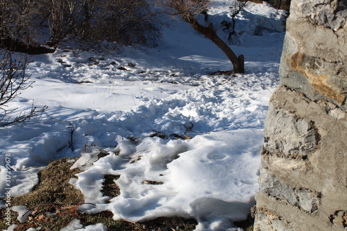 Wallpaper Mural The White Nature Beauty Torontodigital.ca