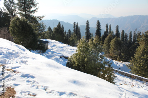 Wallpaper Mural The White Nature Beauty Torontodigital.ca