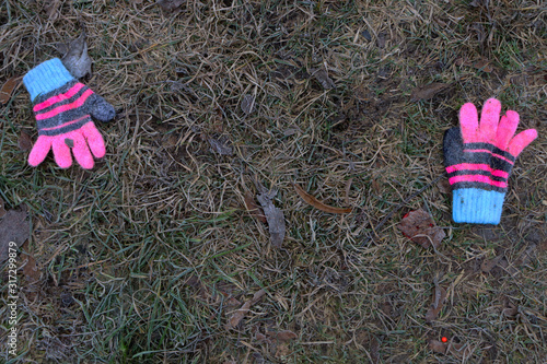 Winter gloves on frozen grass. Grass and gloves