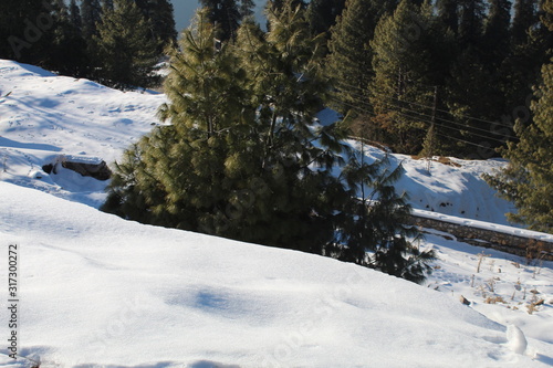 Wallpaper Mural The White Nature Beauty Torontodigital.ca