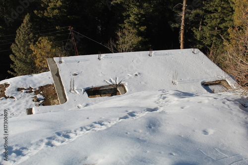 Wallpaper Mural The White Nature Beauty Torontodigital.ca