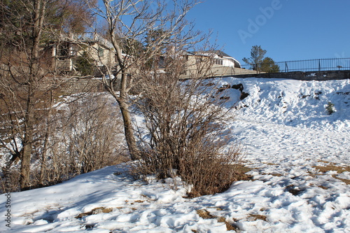 Wallpaper Mural The White Nature Beauty Torontodigital.ca