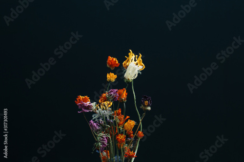 Fotografie dried flower bouquet, abstract