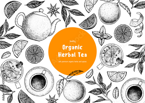 Tea vector illustration. Citrus and tea leaves. Healthy drink. Hand drawn sketch. Engraved style. Can used for vintage package design with tea product. Vector hand drawn set.