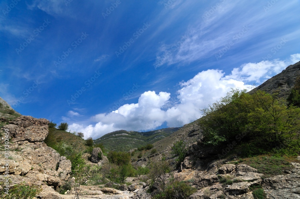 Mountain ranges covered with forest and bushes Mountain ranges covered with forest and bushes